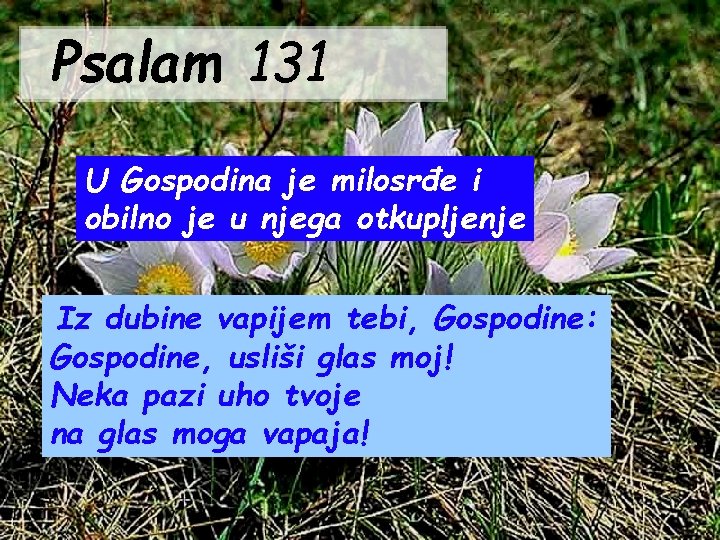 Psalam 131 U Gospodina je milosrđe i obilno je u njega otkupljenje Iz dubine