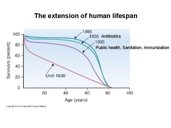 The extension of human lifespan Antibiotics Public health, Sanitation, Immunization 