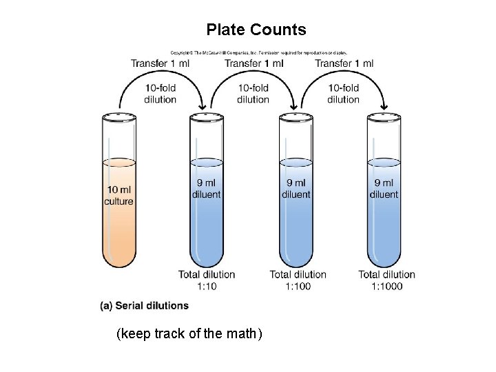 Plate Counts (keep track of the math) 