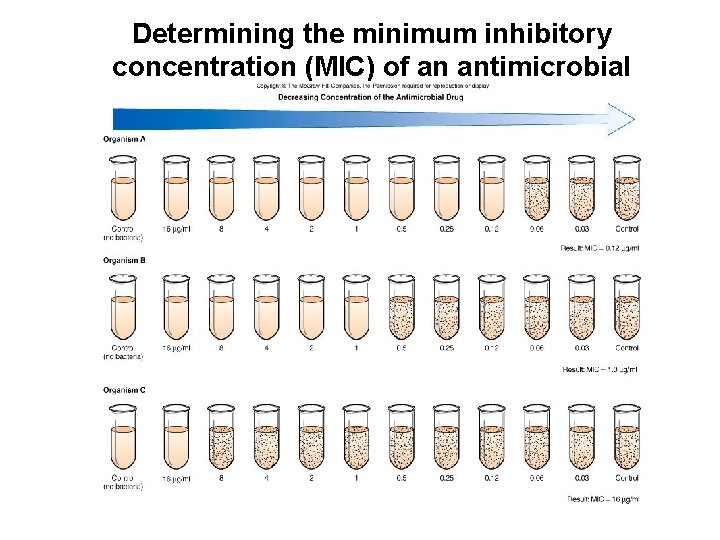 Determining the minimum inhibitory concentration (MIC) of an antimicrobial drug 