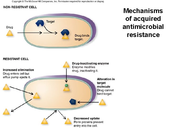 Mechanisms of acquired antimicrobial resistance 