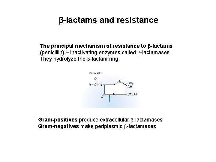  -lactams and resistance The principal mechanism of resistance to -lactams (penicillin) – inactivating