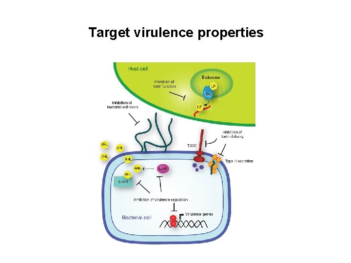 Target virulence properties 