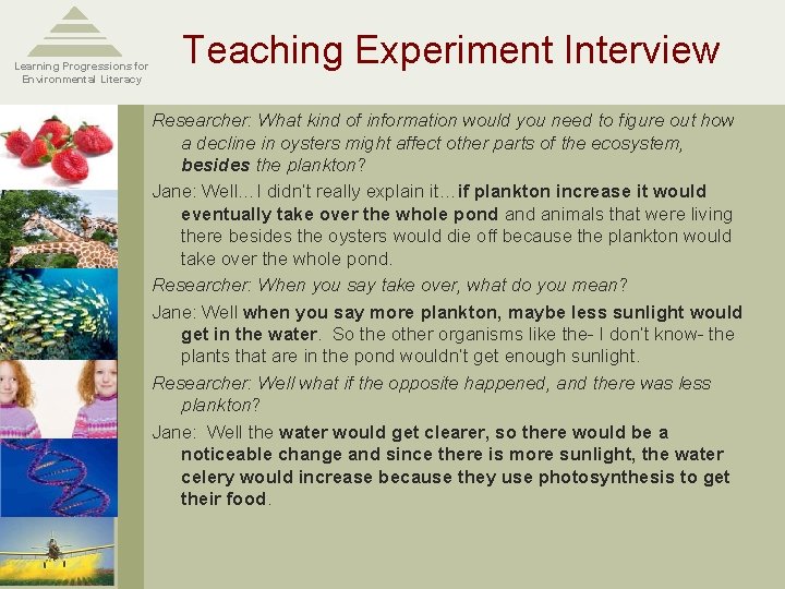 Learning Progressions for Environmental Literacy Teaching Experiment Interview Researcher: What kind of information would