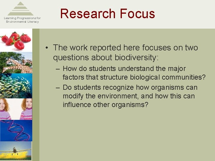 Learning Progressions for Environmental Literacy Research Focus • The work reported here focuses on
