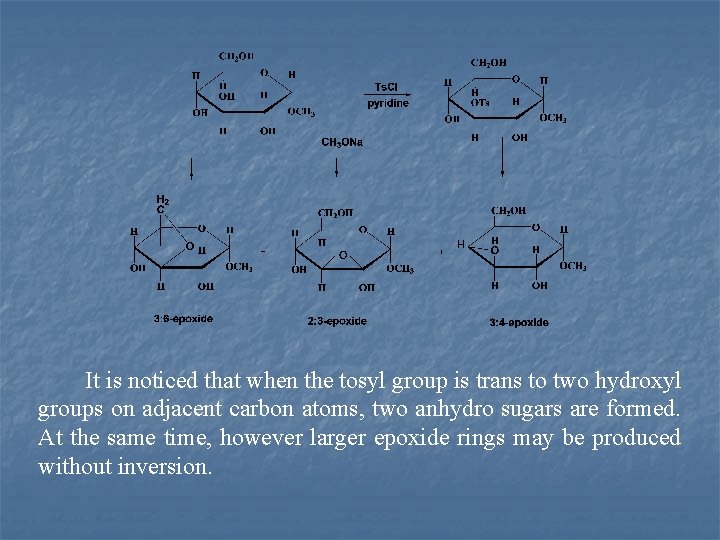 It is noticed that when the tosyl group is trans to two hydroxyl groups