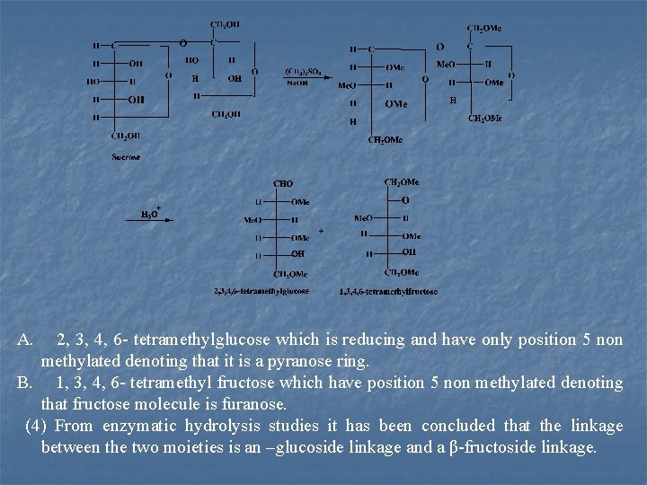 A. 2, 3, 4, 6 tetramethylglucose which is reducing and have only position 5