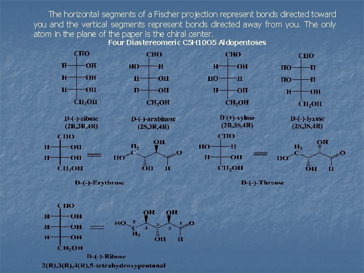 The horizontal segments of a Fischer projection represent bonds directed toward you and the