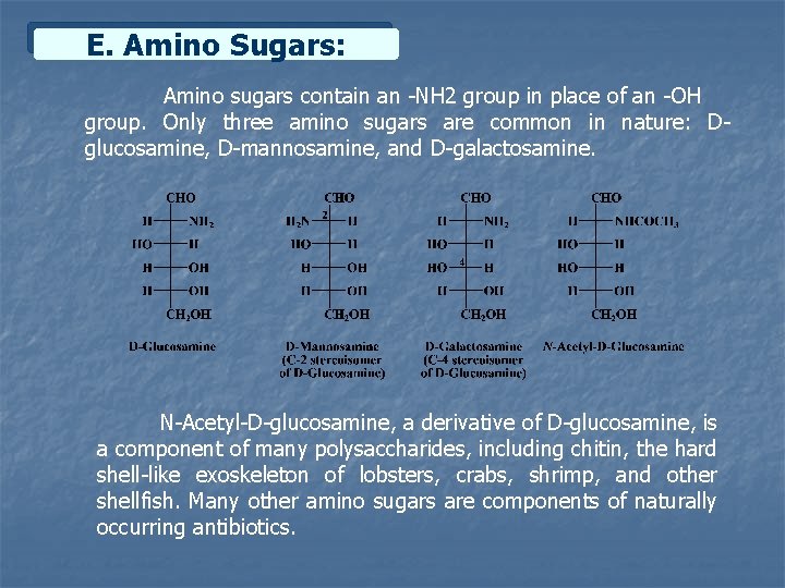 E. Amino Sugars: Amino sugars contain an -NH 2 group in place of an