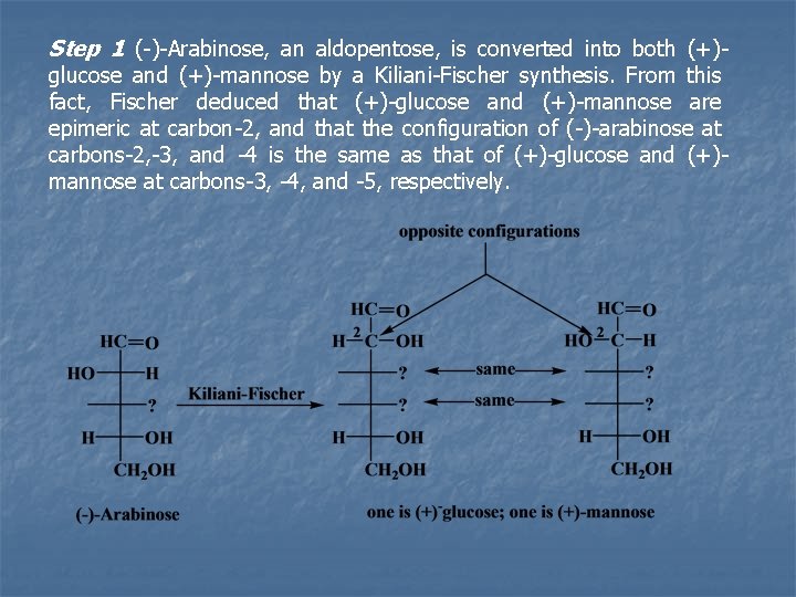 Step 1 (-)-Arabinose, an aldopentose, is converted into both (+)glucose and (+)-mannose by a