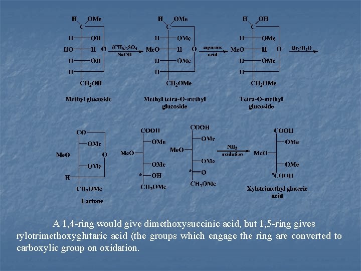 A 1, 4 ring would give dimethoxysuccinic acid, but 1, 5 ring gives rylotrimethoxyglutaric
