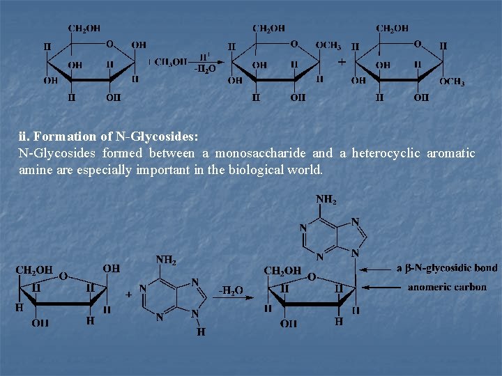 ii. Formation of N-Glycosides: N Glycosides formed between a monosaccharide and a heterocyclic aromatic