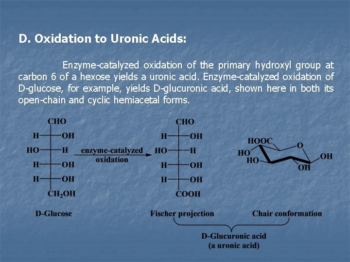 D. Oxidation to Uronic Acids: Enzyme-catalyzed oxidation of the primary hydroxyl group at carbon