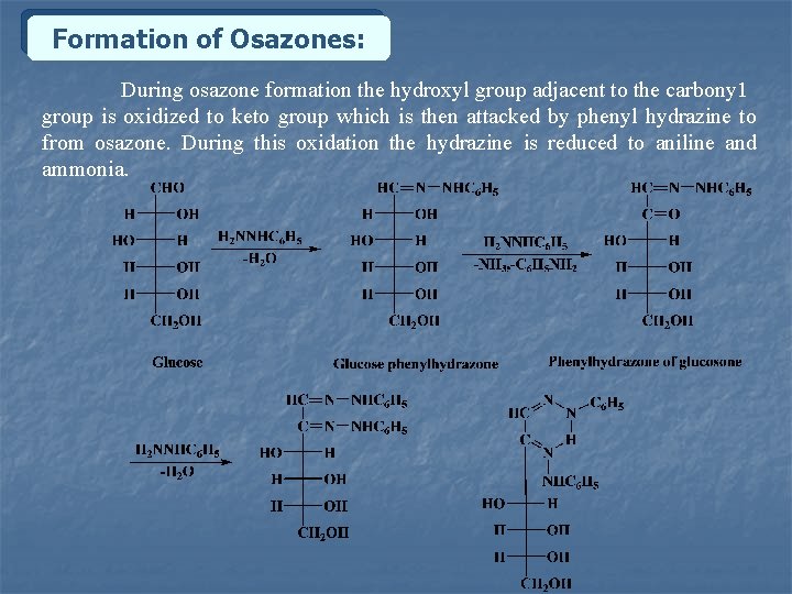 Formation of Osazones: During osazone formation the hydroxyl group adjacent to the carbony 1