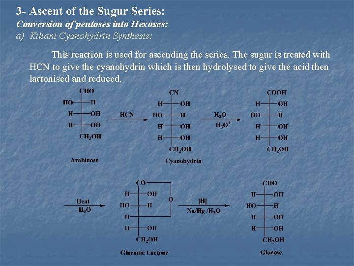 3 - Ascent of the Sugur Series: Conversion of pentoses into Hexoses: a) Kiliani