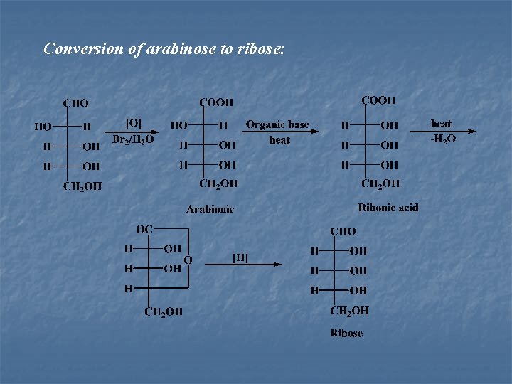 Conversion of arabinose to ribose: 