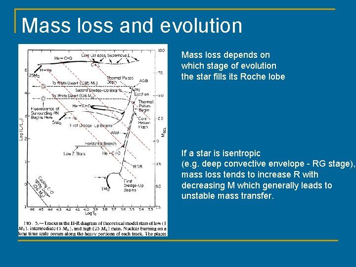 Mass loss and evolution Mass loss depends on which stage of evolution the star