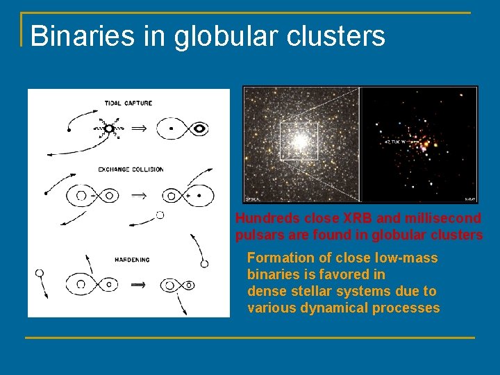Binaries in globular clusters Hundreds close XRB and millisecond pulsars are found in globular