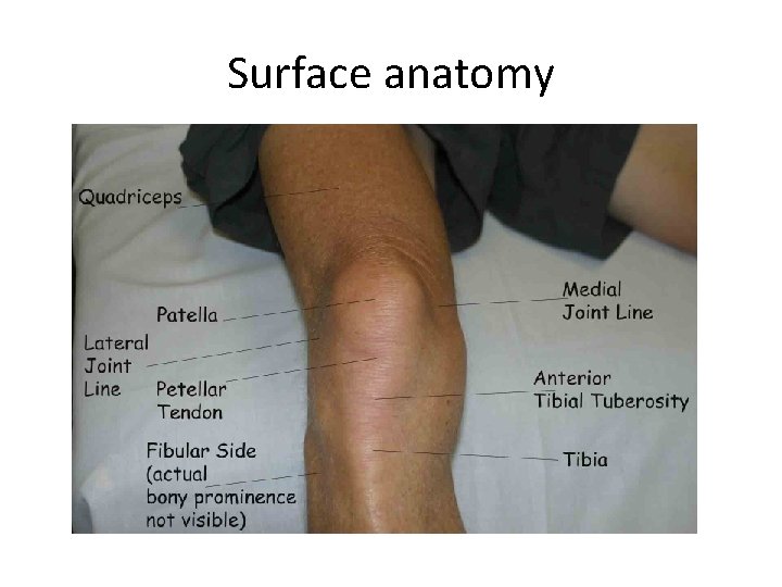 Surface anatomy 