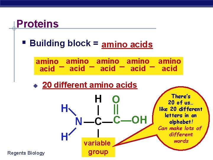 Proteins § Building block = amino acids amino amino acid – acid u 20