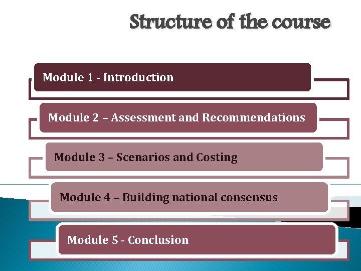Structure of the course Module 1 - Introduction Module 2 – Assessment and Recommendations