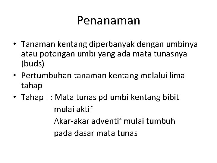 Penanaman • Tanaman kentang diperbanyak dengan umbinya atau potongan umbi yang ada mata tunasnya