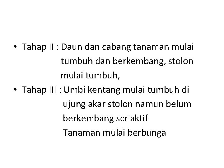  • Tahap II : Daun dan cabang tanaman mulai tumbuh dan berkembang, stolon