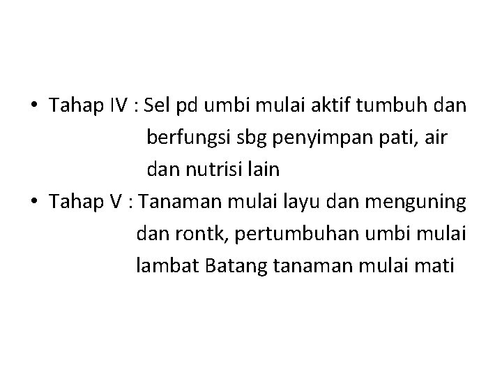  • Tahap IV : Sel pd umbi mulai aktif tumbuh dan berfungsi sbg