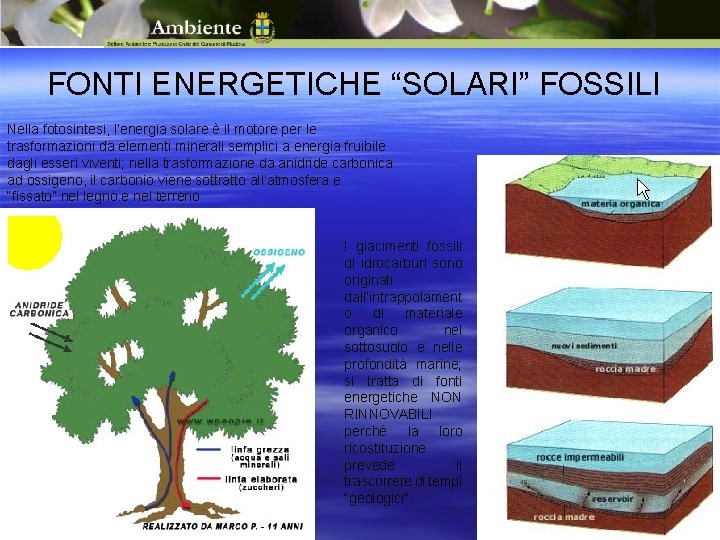 FONTI ENERGETICHE “SOLARI” FOSSILI Nella fotosintesi, l’energia solare è il motore per le trasformazioni