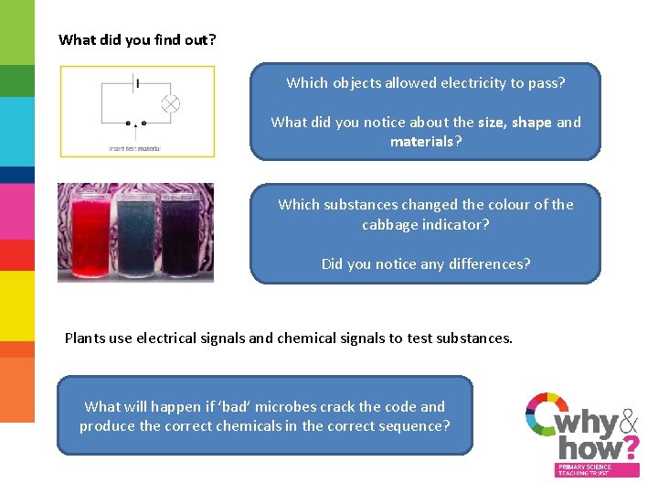 What did you find out? Which objects allowed electricity to pass? What did you