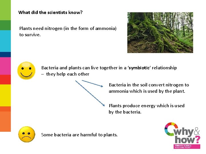 What did the scientists know? Plants need nitrogen (in the form of ammonia) to