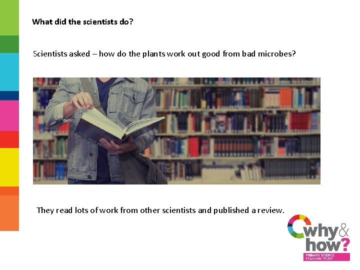 What did the scientists do? Scientists asked – how do the plants work out