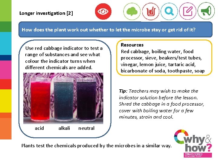 Longer investigation [2] How does the plant work out whether to let the microbe