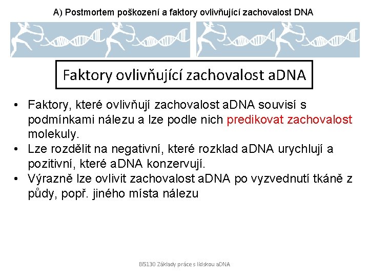A) Postmortem poškození a faktory ovlivňující zachovalost DNA Faktory ovlivňující zachovalost a. DNA •