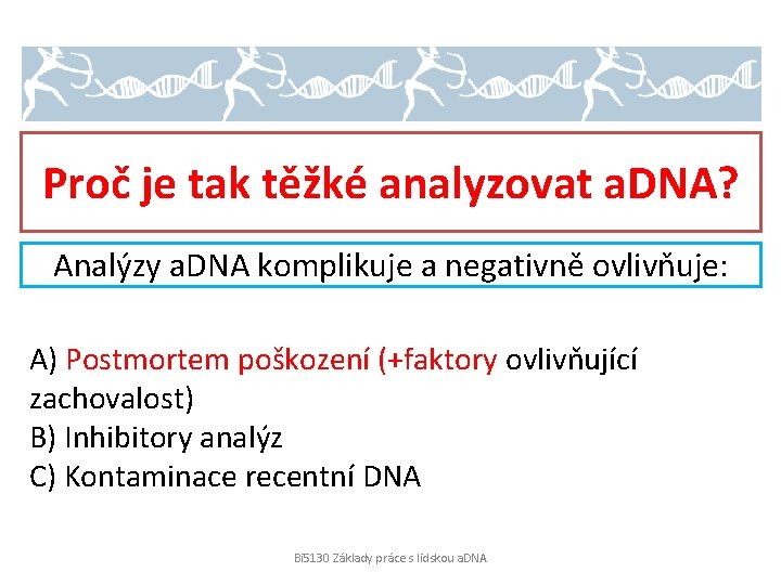 Proč je tak těžké analyzovat a. DNA? Analýzy a. DNA komplikuje a negativně ovlivňuje: