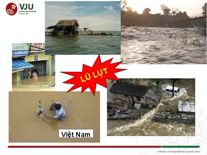 ỤT L Ũ L Việt Nam 