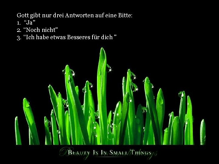 Gott gibt nur drei Antworten auf eine Bitte: 1. “Ja" 2. “Noch nicht" 3.
