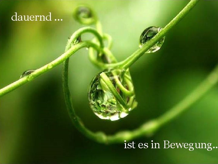 dauernd. . . ist es in Bewegung. . 