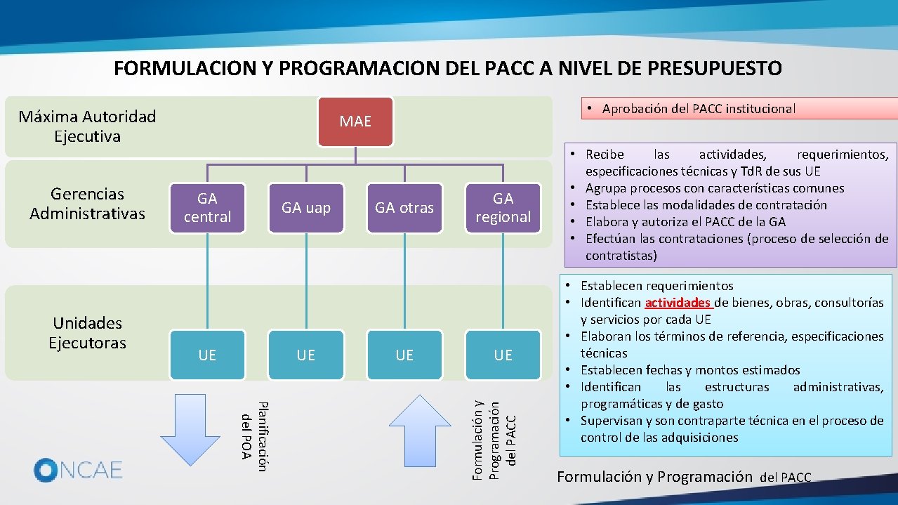 FORMULACION Y PROGRAMACION DEL PACC A NIVEL DE PRESUPUESTO Máxima Autoridad Ejecutiva Unidades Ejecutoras