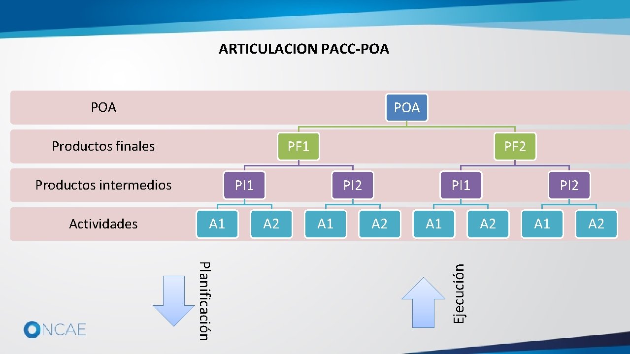 ARTICULACION PACC-POA POA PF 1 PI 1 Productos intermedios Actividades PF 2 A 1