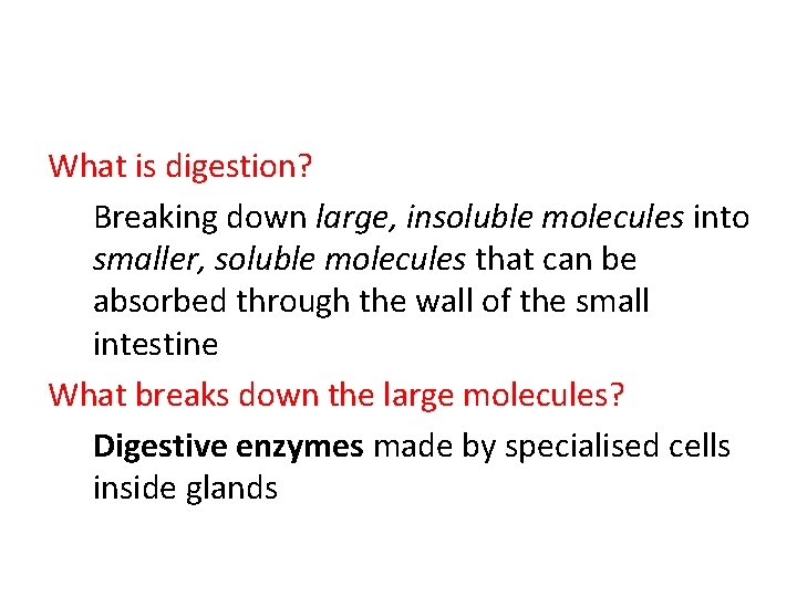What is digestion? Breaking down large, insoluble molecules into smaller, soluble molecules that can