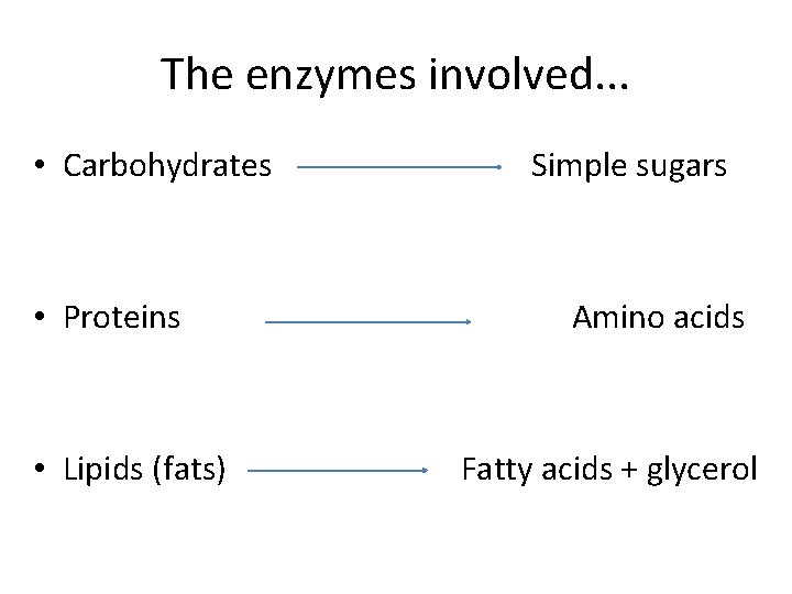 The enzymes involved. . . • Carbohydrates • Proteins • Lipids (fats) Simple sugars