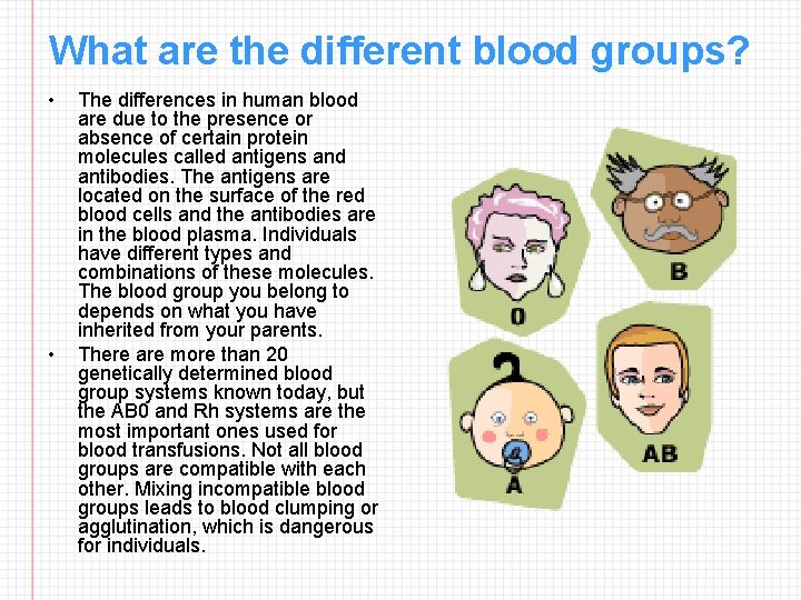 What are the different blood groups? • • The differences in human blood are