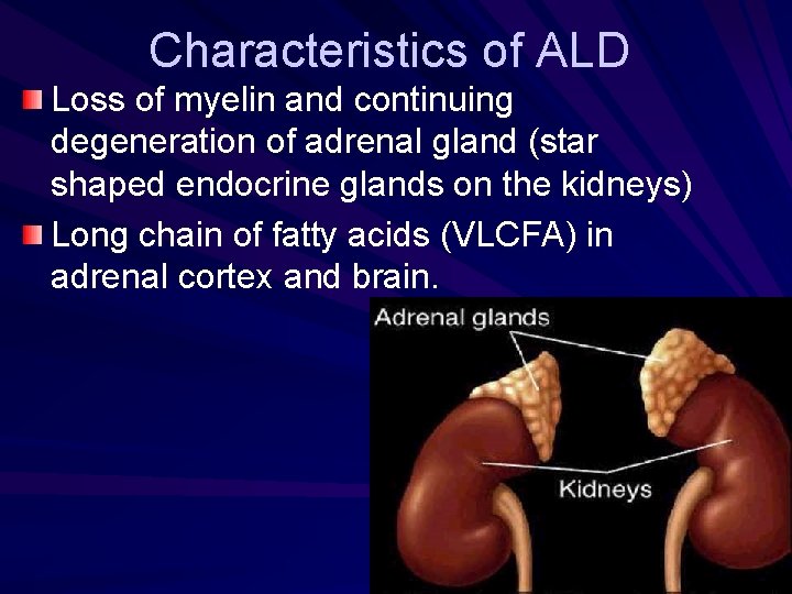 Characteristics of ALD Loss of myelin and continuing degeneration of adrenal gland (star shaped