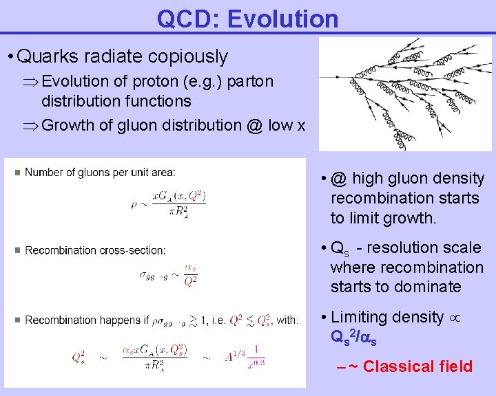 QCD: Evolution • Quarks radiate copiously Evolution of proton (e. g. ) parton distribution