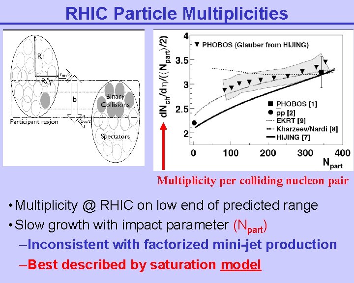 RHIC Particle Multiplicities Multiplicity per colliding nucleon pair • Multiplicity @ RHIC on low