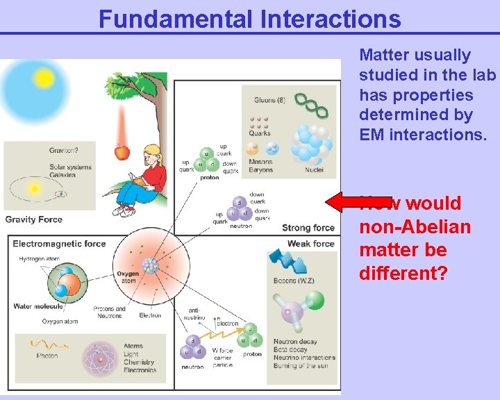 Fundamental Interactions Matter usually studied in the lab has properties determined by EM interactions.