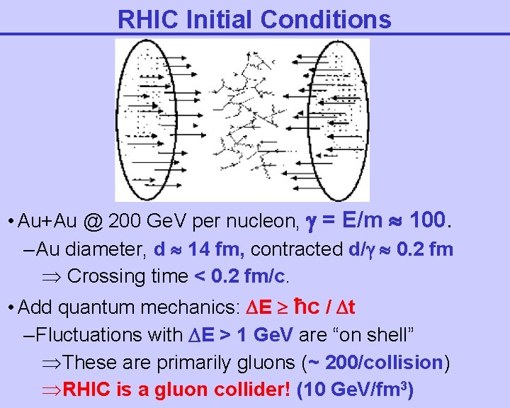 RHIC Initial Conditions • Au+Au @ 200 Ge. V per nucleon, = E/m 100.