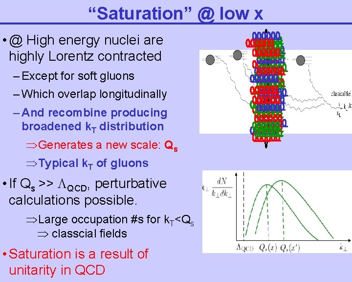 “Saturation” @ low x • @ High energy nuclei are highly Lorentz contracted –