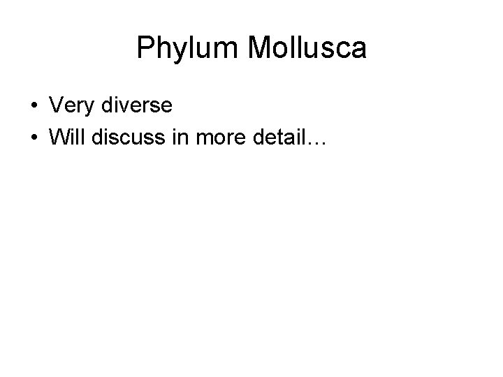 Phylum Mollusca • Very diverse • Will discuss in more detail… 